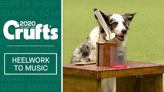 Freestyle Heelwork To Music  Part 1  Crufts 2020 [upl. by Anette587]