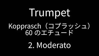 Trumpet Kopprasch 2 [upl. by Eanert]