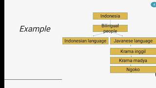 The Relationship of Bilingualism and Diglossia [upl. by Pacifa]