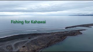 Fishing for kahawai in New Zealand  4K60 DJI Air 3S [upl. by Larry]