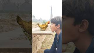 Eating hen duck and pigeon shorts viralvideos trending [upl. by Phene101]