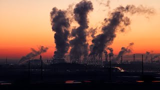 Você Pode Ajudar  Vídeo de conscientização ambiental 🌳 [upl. by Aid]