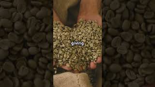 Fair Trade Empowering Colombian Coffee FarmersFairTrade ColombianCoffee sustainablefarming [upl. by Cormick]