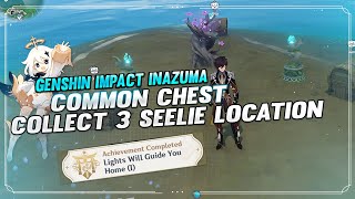 3 Seelie Narukami Island Common Chest  GENSHIN IMPACT INAZUMA [upl. by Aksehcnarf283]