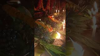 Jore jore falwa suruj chhath viralvideos chhathgeet ststus pawansingh sardhasinhachhathgeet [upl. by Gnel]