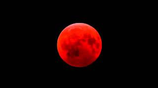 Lunar Eclipse 2011 Amazing Next Lunar Eclipse Video Will turn moon BLOOD RED like this [upl. by Meggi]