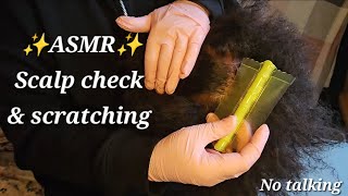 ASMR ✨️ SCALP CHECK AND SCRATCHING w fine tooth comb amp gloves no talking [upl. by Eilujna]