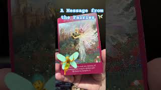 A Message from the Fairies fairies fairytarot divine tarot [upl. by Anahsirk]