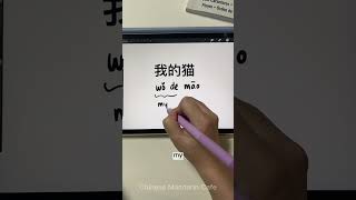 Beginner Chinese Grammar Lesson 们 men Chinese Pinyin ChineseLesson [upl. by Ewall]