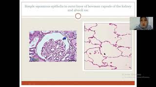 Histologi Jaringan Epitel dan Epitel Kelenjar [upl. by Corabelle]