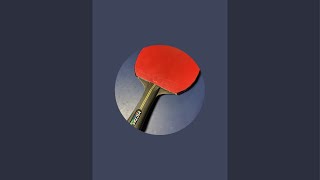 Table tennis 20247162 [upl. by Marlon479]