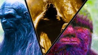 Top 28 Most Authentic Bigfoot Videos amp Real Footage [upl. by Analli]