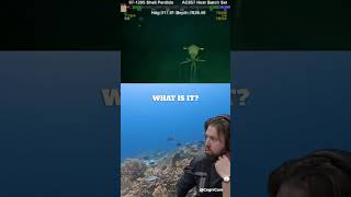 Alienlike squid discovered near oil rig joerogan shorts [upl. by Goodden734]