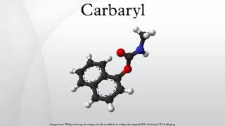 Carbaryl [upl. by Eadrahs]