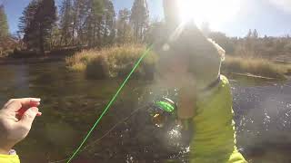 Fly Fishing Hat Creek CA  October 3031 2023 [upl. by Ydroj]