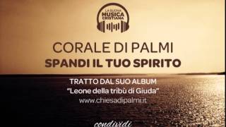 CORALE DI PALMI  SPANDI IL TUO SPIRITO [upl. by Kammerer]