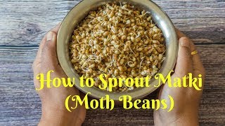 How to sprout Matki Moth Beans SproutsKalimirchbysmita Episode 248 [upl. by Nayarb]