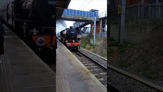 Black 5 No 44871 arriving at Stevenage with The White Rose on Saturday 16th November 2024 [upl. by Riki]