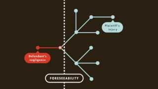 Tort Law tutorial Proximate Causation  quimbeecom [upl. by Arteid]