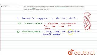 How is an exonuclease functionally different from an endonuclease and endonuclease an [upl. by Borg]