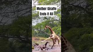 Heartbreaking Instinct When Survival Means Sacrifice animals giraffe shorts [upl. by Margarete650]