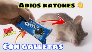 El Mejor Remedio para Eliminar RATONES  Usando Galletas [upl. by Sophronia]