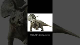 Top 4 Most Interesting Dinosaur Species and Discoveries [upl. by Eloci]