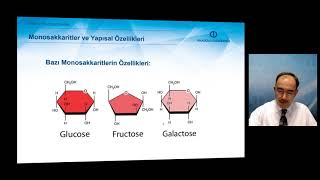 TEMEL VETERİNER BİYOKİMYA  Ünite2 Özet [upl. by Acie]