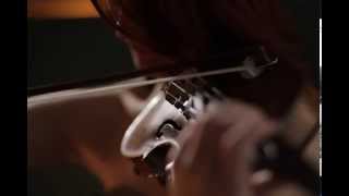 Des Armes  Noir Desir Violin Cover [upl. by Halford905]