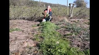 Le Potager du Paresseux  préparer ses planches 21 mars 2019 [upl. by Orhtej3]