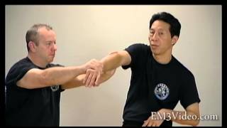 Wing Chun Vol 3 BIU GEE by Samuel Kwok [upl. by Ruby]