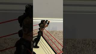 Wwe stop motion [upl. by Aicenev]