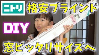 【DIY】ニトリの格安ブラインドを窓にピッタリのサイズへ！【ももかチャンネル】 [upl. by Brower]