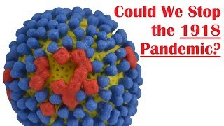 Could the 1918 Influenza Pandemic Happen Again [upl. by Dimitry654]