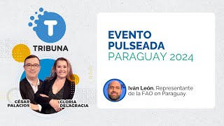 TRIBUNA  Evento Pulseada Paraguay 2024 [upl. by Akemat]