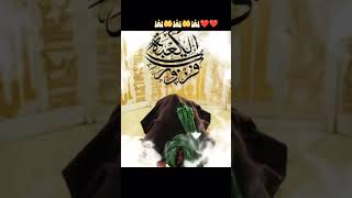 mujhe Abbas kahate HainSanon per Alam rakhtaLo rok Sako to roko dariya mein lslamicvideo786 [upl. by Haneen31]