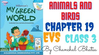 Animals and Birds ch19 class 3 EVS full explanation [upl. by Weinhardt]