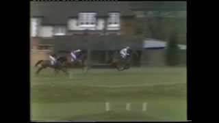 1981 Freshfields Holidays Handicap Chase [upl. by Anizor706]