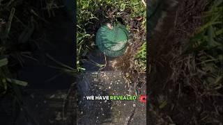 How To Find Your Drainage Systems Discharge End  Pop Up Emitter  Yard Drainage [upl. by Aenet]