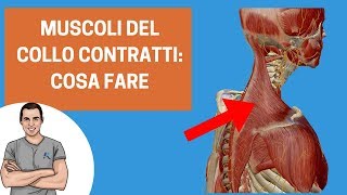 Muscoli del collo sempre contratti cosa fare [upl. by Sussi]