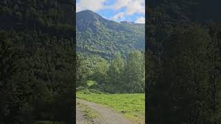 Hemsedal 🇳🇴🌿 123°C kl830 3152024 hemsedal 31may2024 norge tur scandinavia natur [upl. by Aletse366]