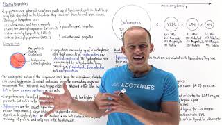 Introduction to lipoproteins [upl. by Enimzzaj]