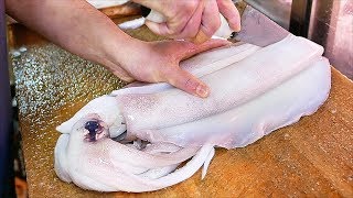 Japanese Street Food  GIANT SQUID Fried Calamari Sashimi Okinawa Seafood Japan [upl. by Jonathan]