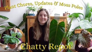 🌱Chatty Repot 🪴 [upl. by Ludwigg]