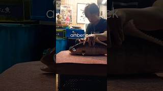 Quick painless shot p21♥️✨️ shorts fishing trending viralvideo viralshorts [upl. by Feinberg]