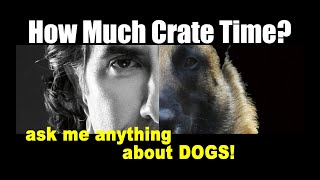 How Much Crate Time is Too Much for Puppies  Dog Training Videos  ask me anything [upl. by Neile]