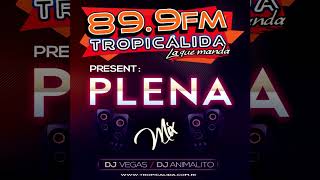 Plena Mix  Dj Vegas [upl. by Aillicirp754]