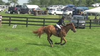 Jaelyn Comer amp Loughnatousa Yours Truly Millbrook Horse Trials July 2024 [upl. by Poul]