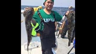 Northern California Lingcod Fishing Farallon Islands and Rockfish [upl. by Leirza]