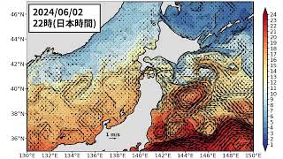 2024年6月10日までの親潮「短期」予測 番外 含む日本海北部 [upl. by Eenahs]